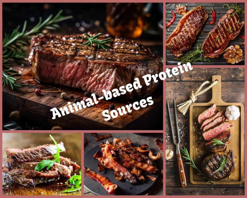 Animal-based Protein Sources