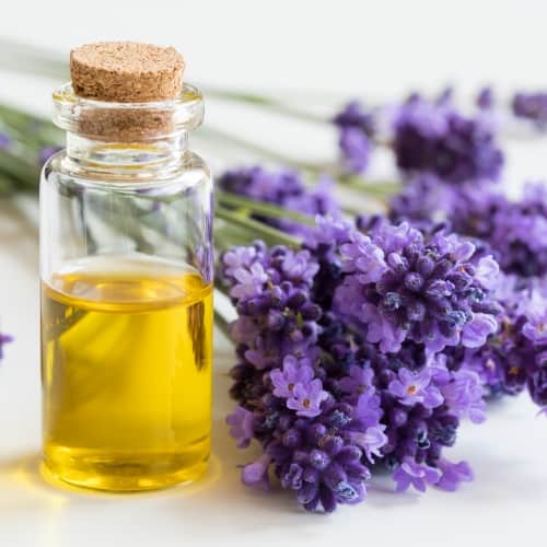 Lavender oil